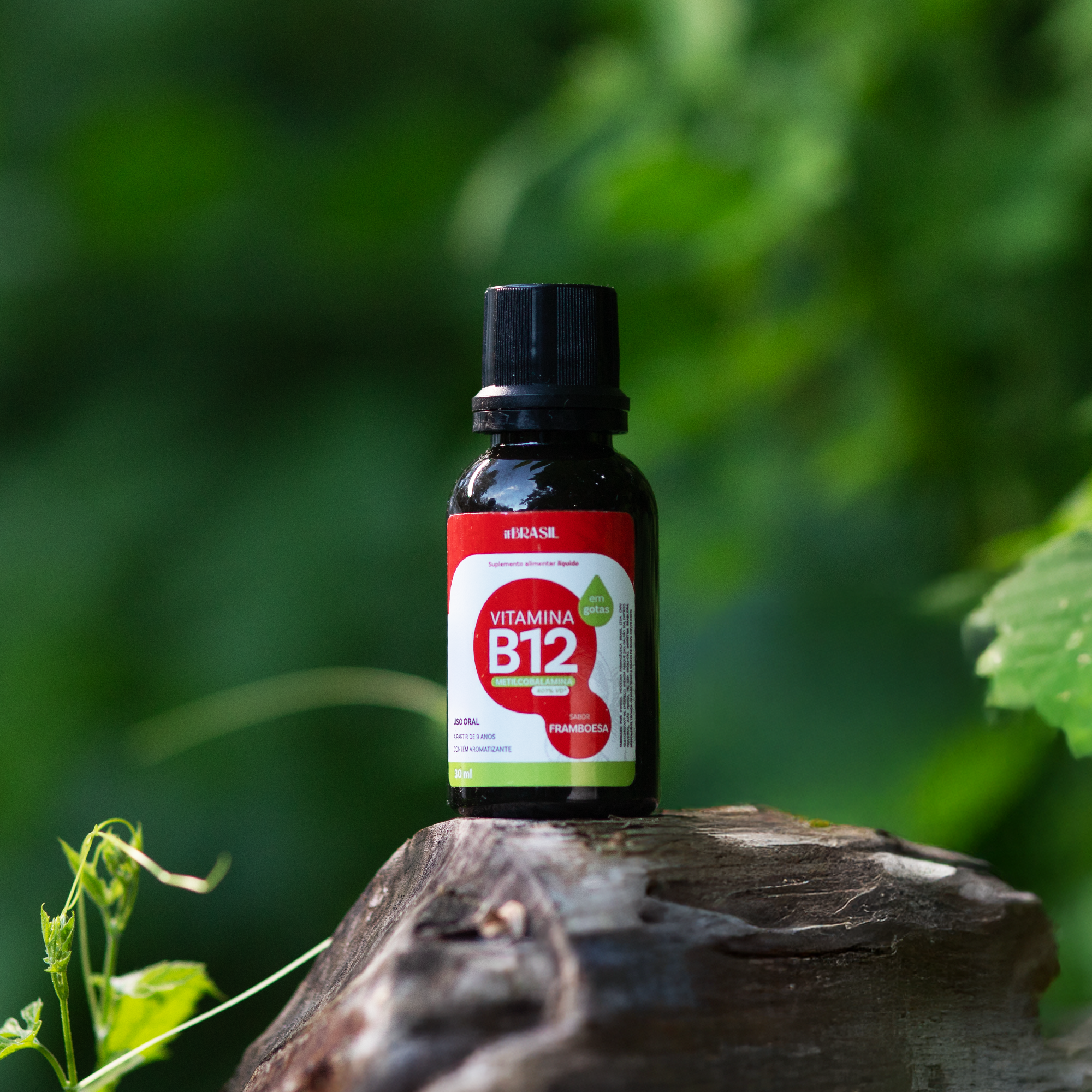 B12 GTS 03